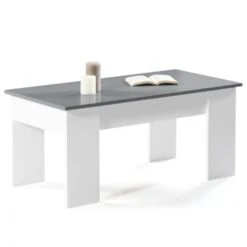 Table Basse Plateau Relevable TARA Bois Blanc Et Gris -VIDAXL || Songmics Soldes 11673621 4