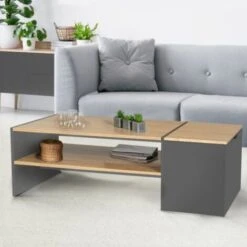 Table Basse Bar Contemporaine IZIA Avec Coffre Gris Et Bois 9 Table Basse Bar Contemporaine IZIA Avec Coffre Gris Et Bois -VIDAXL || Songmics Soldes 20730447 3