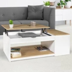 Table Basse Plateau Relevable ELEA Avec Coffre Bois Blanc Et Façon Hêtre -VIDAXL || Songmics Soldes 41828828 2