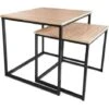 Set De 2 Tables D'appoint Gigognes De Tailles Différentes En Bois MDF Et Couleur Noire -VIDAXL || Songmics Soldes 46758564 1