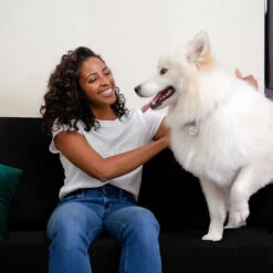 Minetgnon Housse De Canapé D'Angle Extensive Protection De Canapé En Polyster - Noir - 3+2 Places -VIDAXL || Songmics Soldes 51929935 5