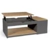 Table Basse Plateau Relevable ELEA Avec Coffre Bois Gris Et Façon Hêtre -VIDAXL || Songmics Soldes 65212876 1