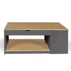 Table Basse Plateau Relevable ELEA Avec Coffre Bois Gris Et Façon Hêtre -VIDAXL || Songmics Soldes 65212876 3