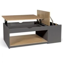 Table Basse Plateau Relevable ELEA Avec Coffre Bois Gris Et Façon Hêtre -VIDAXL || Songmics Soldes 65212876 4