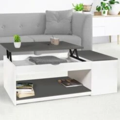 Table Basse Plateau Relevable ELEA Avec Coffre Bois Blanc Et Gris 8 Table Basse Plateau Relevable ELEA Avec Coffre Bois Blanc Et Gris -VIDAXL || Songmics Soldes 65213766 2