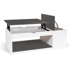 Table Basse Plateau Relevable ELEA Avec Coffre Bois Blanc Et Gris 10 Table Basse Plateau Relevable ELEA Avec Coffre Bois Blanc Et Gris -VIDAXL || Songmics Soldes 65213766 4