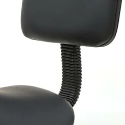 Tabouret De Salon Réglable En Forme De Selle Avec Dossier Noir -VIDAXL || Songmics Soldes 94020667 3
